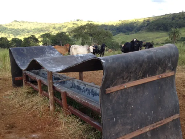 Manta de Borracha para Cocho de Gado